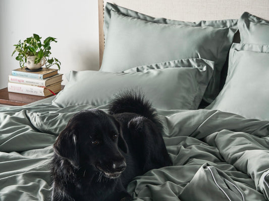Luxe Pillowcases | 600 Thread Count